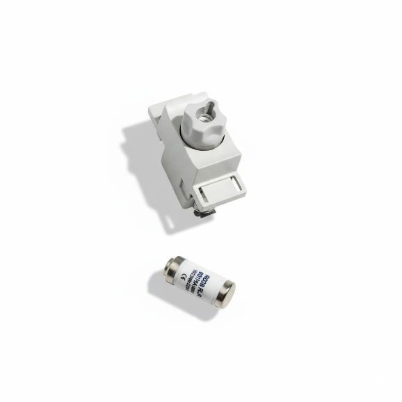 Electrical Fuse Holder with 63A Fuse