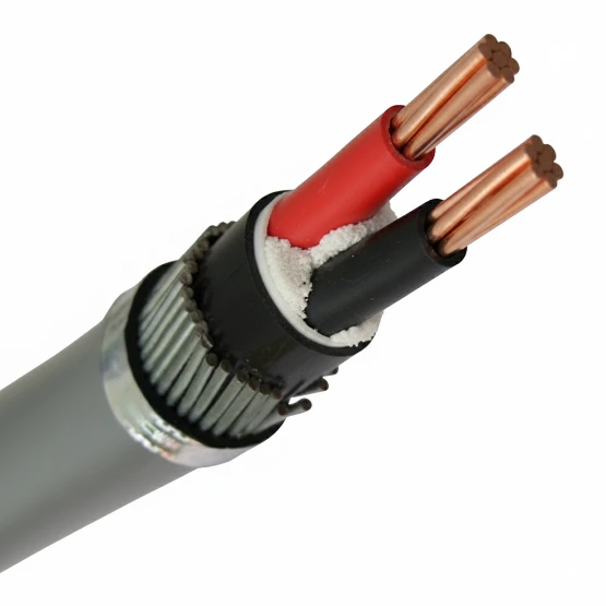Two‑Core Copper Electrical Cable (Insulated)